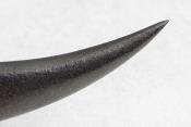 zgm 26 aculeus 6-2024 0643